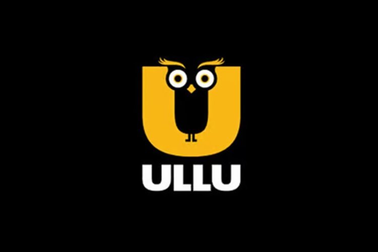 ओटीटी एप उल्लू ने खेला बड़ा दाव; स्टॉक मार्केट में मचा दी हलचल 