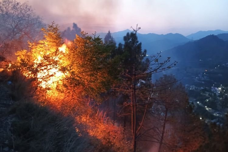 शहरी क्षेत्र तक पहुंच रही जंगलों में लगी आग, वायुसेना की लेनी पड़ रही मदद