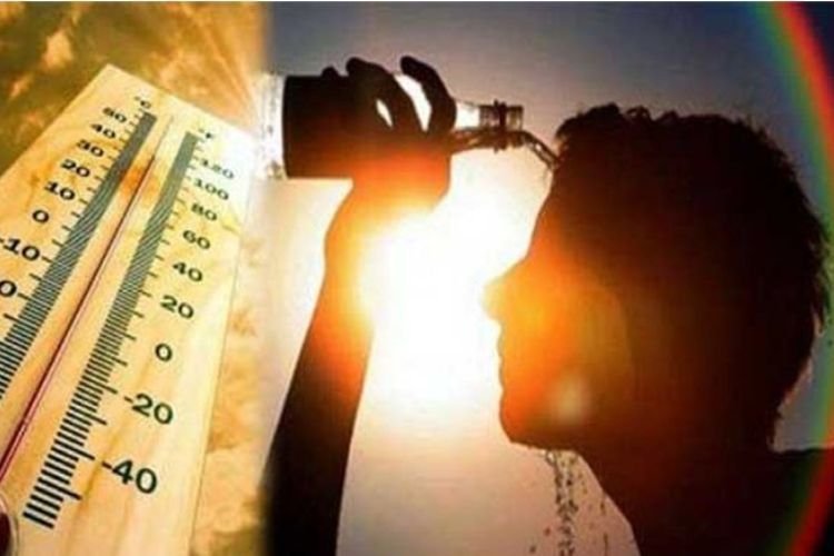 दिल्ली में भीषण गर्मी और हीट वेव को लेकर जारी हुआ रेड अलर्ट, 31 मई को हल्की बारिश की संभावना