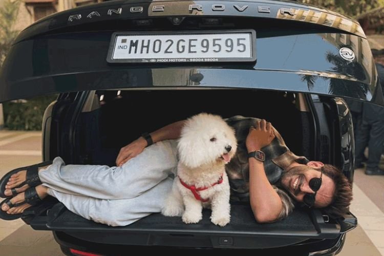 चूहों की वजह से कार्तिक आर्यन को हुआ लाखों का नुकसान, जानें क्या है मामला