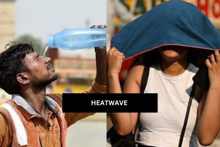HeatWave : ये गर्मी कितनी होती है जानलेवा ? जानिए इंसान का शरीर कितनी गर्मी झेल सकता है?