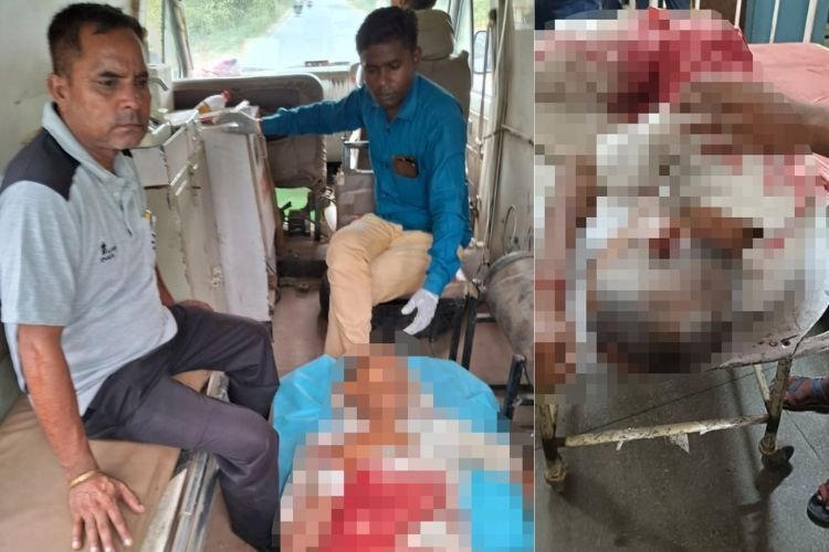 बदायूं में पैदल जा रहे बुजुर्ग पर सांड ने किया हमला, पेट फटने के कारण हुई मौत