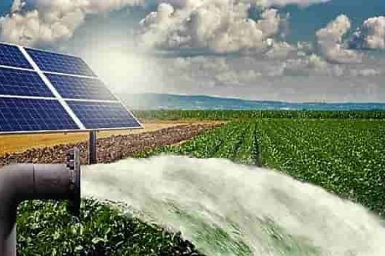 बिहार के किसानों के पास लाखों-करोड़ों कमाने का मौका, ऐसे उठाएं लाभ...