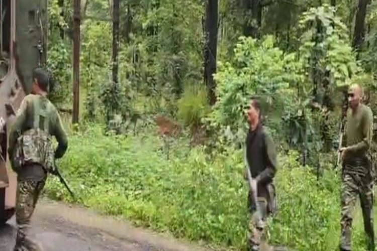 गढ़चिरौली नक्सली हमले में मारे गए 7 पुरुष और 5 महिला माओवादी
