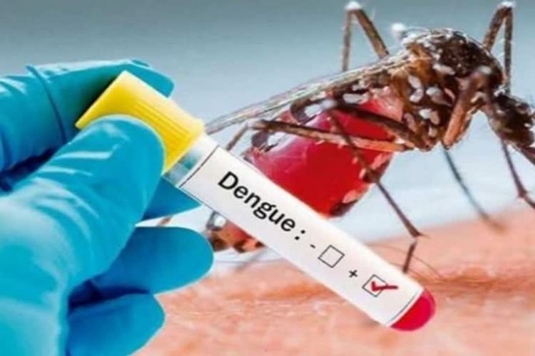 आगरा में डेंगू ने दी दस्तक, स्वास्थ्य विभाग ने जारी किया अलर्ट