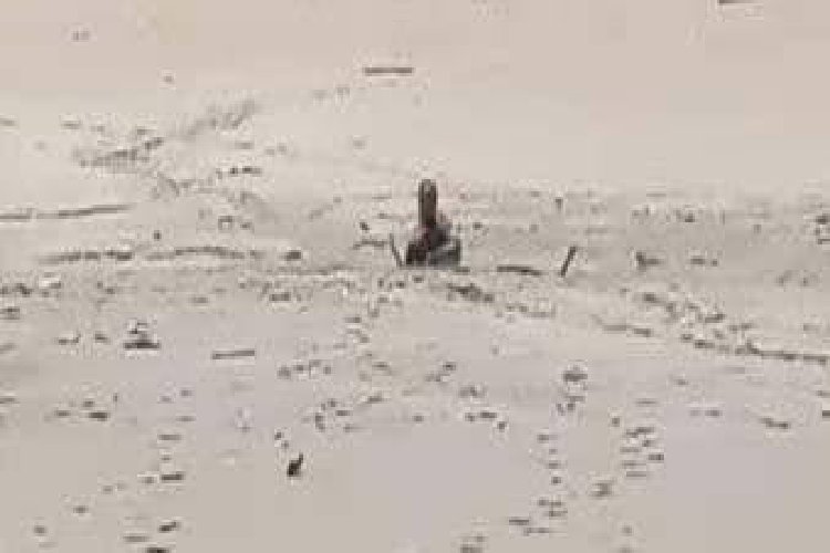 Badaun Accident: पानी भरे तालाब में घुसी भैंस को बचाने पहुंचे चरवाहे की दल-दल में फंसकर हुई मौत