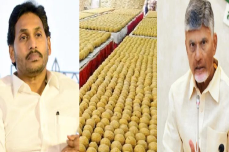 तिरुपति मंदिर के लड्डू में होता था चर्बी का इस्तेमाल, CM चंद्रबाबू नायडू का पूर्ववर्ती सरकार पर बड़ा आरोप