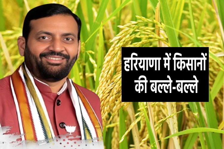 हरियाणा में किसानों के अच्छे दिन, शुरू हुई धान की सरकारी खरीद, 15 नवंबर तक होगी खरीद