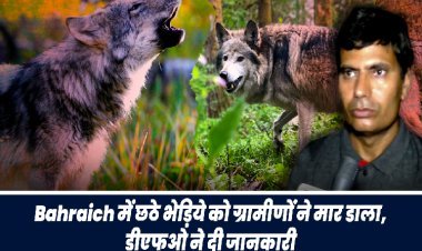 बहराइच में छठे भेड़िए के साथ क्या हुआ, डीएफओ ने दी राहत देने वाली जानकारी