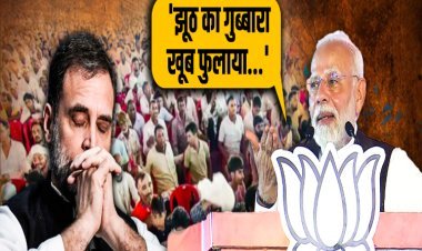 जाति जनगणना वाले राहुल जाति के जंजाल में फंसकर कैसे हारे हरियाणा, समझिए कहानी