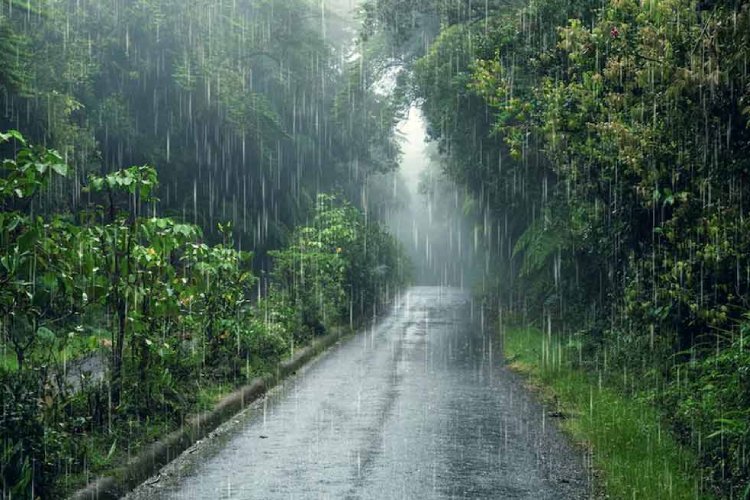 साल 2024 का मानसून हुआ खत्म, इस बार देश में कहां-कहां हुई कितनी बारिश, IMD ने बताई पूरी डिटेल