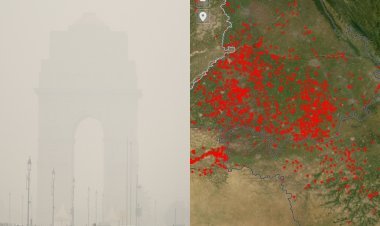दिल्ली में प्रदूषण के खतरनाक स्तर के बीच नासा की तस्वीरों में पंजाब-हरियाणा में व्यापक आग की चपेट में कई इलाके