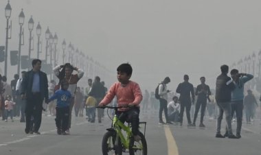 वायु प्रदूषण से बच्चों में बढ़ सकता है फेफड़ों के कैंसर और अस्थमा का खतरा : विशेषज्ञ