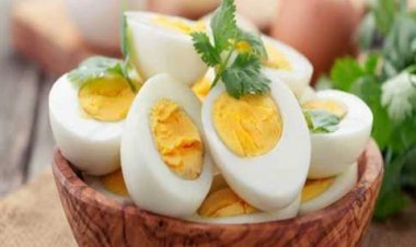 अंडा: याददाश्त बढ़ाने का सस्ता और प्रभावी तरीका, शोध से खुलासा