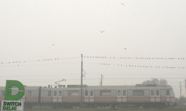 विशेषज्ञों ने बताया, India में non-Smokers को वायु प्रदूषण के कारण हो रहा फेफड़ों का कैंसर