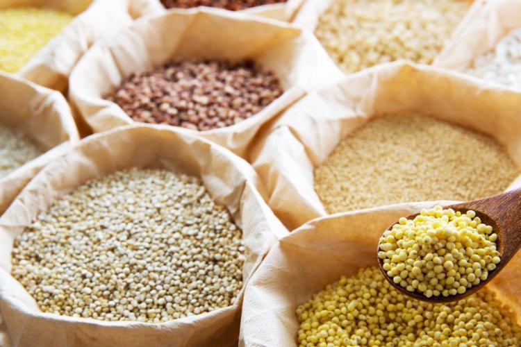 मल्टी ग्रेंस के फायदे जानते हैं आप? जान गए तो आज से ही खाना शुरू कर देंगे