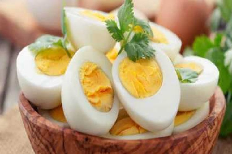 अंडा: याददाश्त बढ़ाने का सस्ता और प्रभावी तरीका, शोध से खुलासा