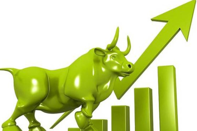 Multibagger Stock: मुकेश अंबानी के समधी की कंपनी में बनी रहेगी तेजी! जानें क्यों ?