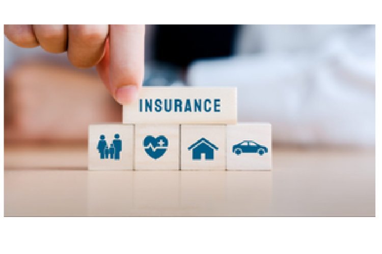 भारत के इंश्योरटेक सेक्टर ने 5 वर्षों में 12 गुना राजस्व वृद्धि की हासिल