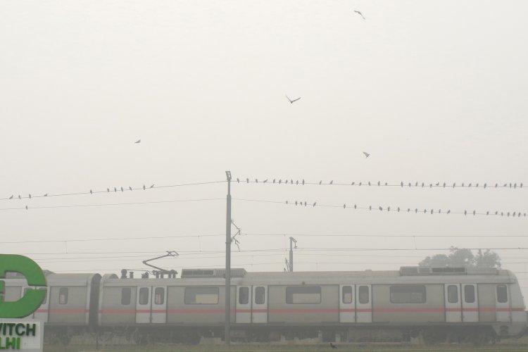 विशेषज्ञों ने बताया, India में non-Smokers को वायु प्रदूषण के कारण हो रहा फेफड़ों का कैंसर