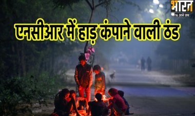 NCR cold wave: कोल्ड वेव, फॉग और प्रदूषण की तिहरी मार झेल रहा है एनसीआर, ''ग्रेप 4'' भी नहीं आ रहा काम