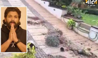 अल्लू अर्जुन के घर पर किसने किया हमला? फेंके टमाटर, गमले भी टूटे