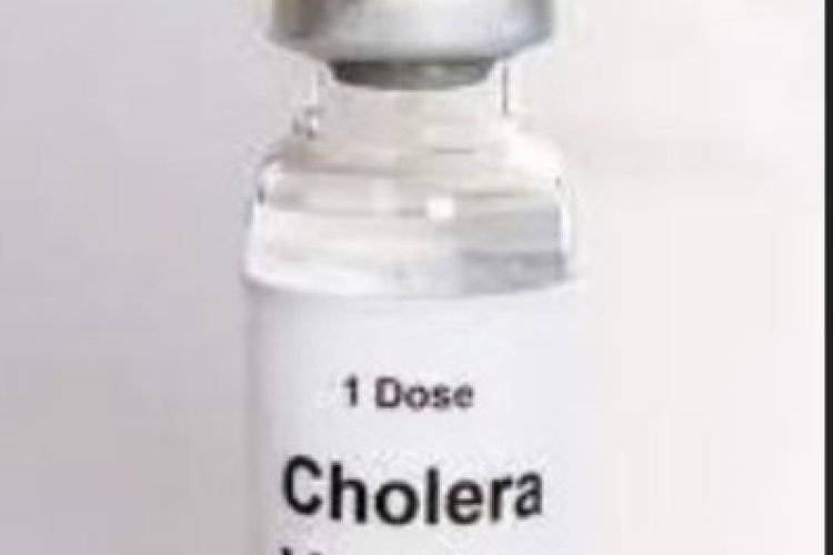 दक्षिण सूडान को हैजा से निपटने के लिए 280,000 से अधिक मिले टीके