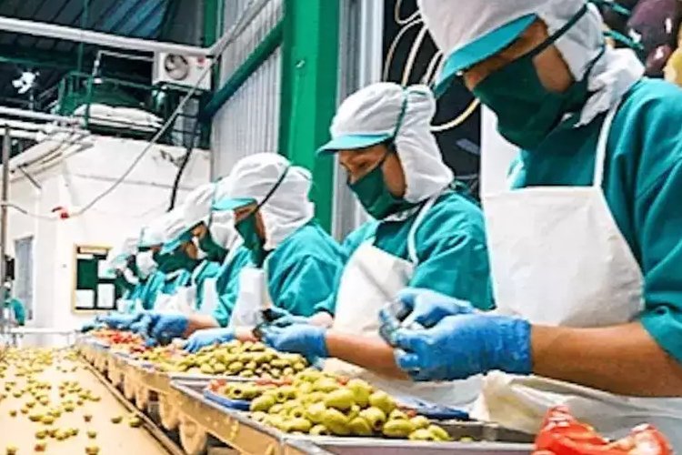 फूड प्रोसेसिंग इंडस्ट्री में पीएलआई आने से पैदा हुए 2.89 लाख से ज्यादा रोजगार के अवसर: केंद्र