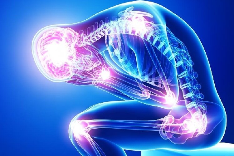 हेल्दी डाइट से मिल सकती है लंबे समय से चले आ रहे दर्द में राहत : अध्ययन