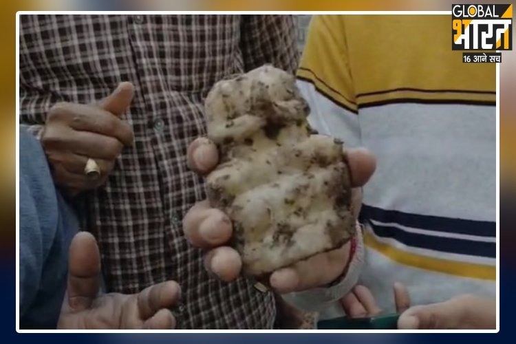 संभल में खुदाई के दौरान कुएं से निकली खंडित मूर्ति, इलाके में मची हलचल