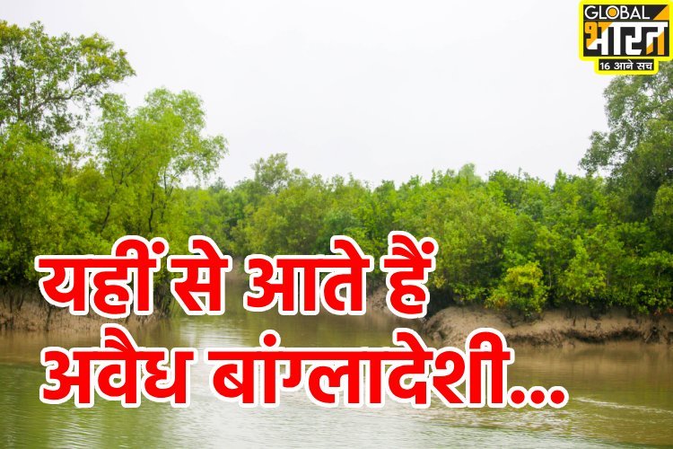 इस द्वीप के सहारे भारत में घुस रहे बांग्लादेशी, पहले मछुआरों के रूप में आते हैं, फिर शरण लेते हैं और अंत में बड़ी आबादी के साथ घुलमिल जाते हैं