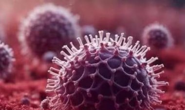 कोरोना वायरस और HMPV क्या एक समान है? जानिए क्या कहते हैं डॉक्टर...