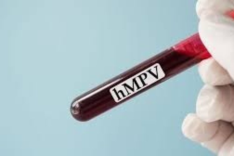 नागपुर में HMPV के दो नए  मामले आए सामने, भारत में अब कुल आंकड़ा इतना हुआ...