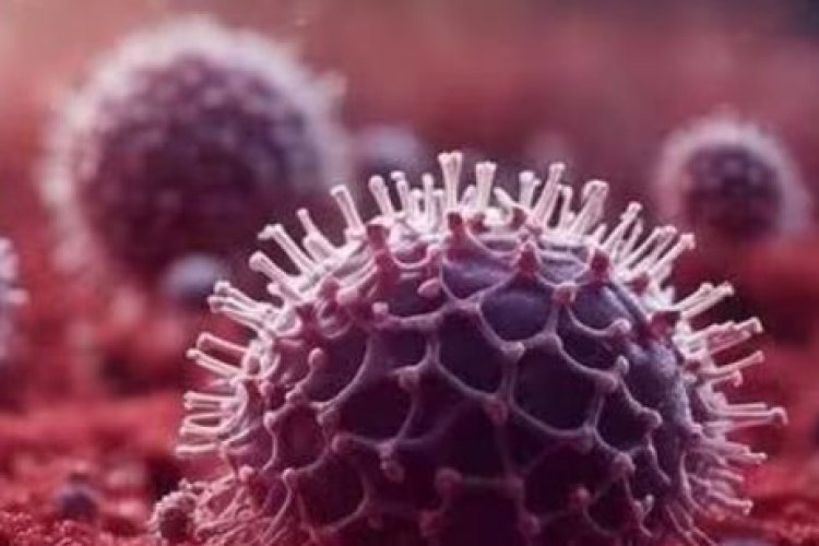 कोरोना वायरस और HMPV क्या एक समान है? जानिए क्या कहते हैं डॉक्टर...