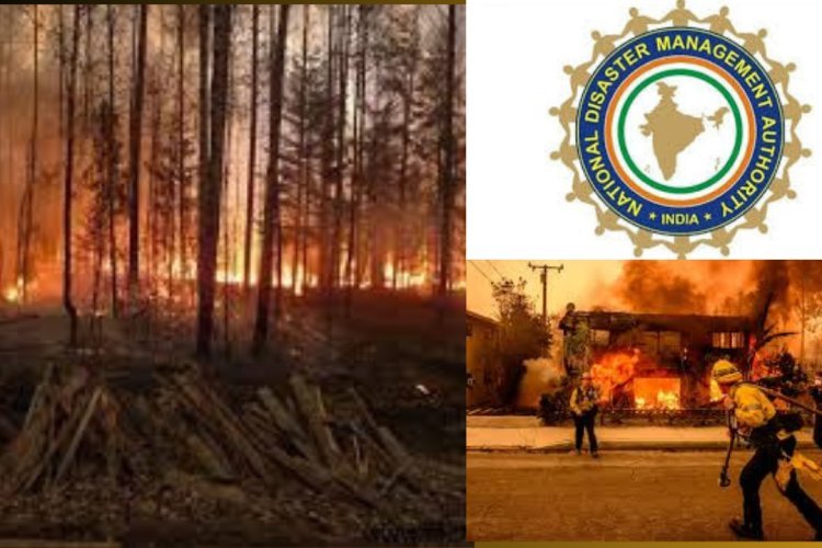 लॉस एंजेलिस से सीख लेकर धामी सरकार ने की बड़ी तैयारी! लेफ्टिनेंट जनरल (रि.) हसनैन को मिली खास जिम्मेदारी