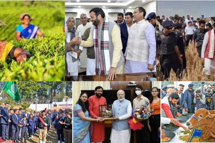 100 days of Saini government: जनता की उम्मीदों पर खरी उतरी बीजेपी, हर वर्ग को मिली सौगात, विरोधियों पर भी छाया जादू