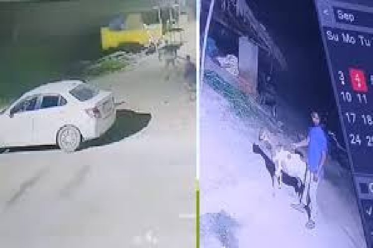 रातभर लग्जरी कार से घूमते, दिन में उड़ाते थे पैसा, रफीक को पुलिस ने दबोचा तो हुआ चौंकाने वाला खुलासा