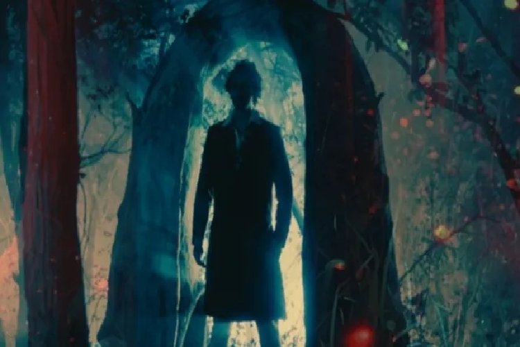 इस फिल्म को देख भूल जाएंगे 'तुंबाड' और 'मुंज्या', देखने वालों के लिए जारी की गई चेतावनी!