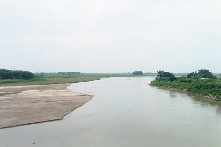  उत्तर बिहार के लिए वरदान साबित होगी कोसी-मेची लिंक परियोजना, कोसी के जल से सिंचाई को मिलेगा विस्तार