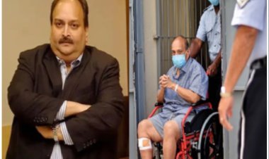 नहीं चली चोकसी की चाल, एंटीगुआ से बेल्जियम और अब स्विट्जरलैंड भागने की फिराक में था भगोड़ा, जल्दा लाया जाएगा भारत! 