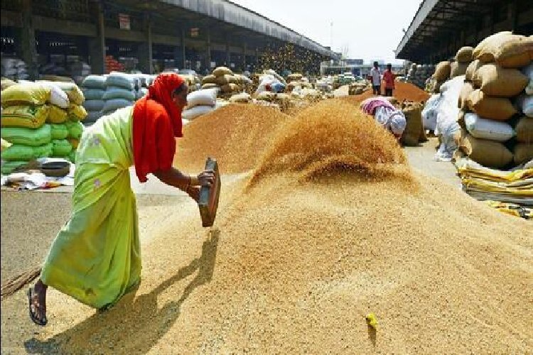 बिहार में गेहूं की खरीद हुई शुरू, पहले दिन 57 किसानों से 78.436 मीट्रिक टन हुई खरीदारी, यह जिला रहा अव्वल