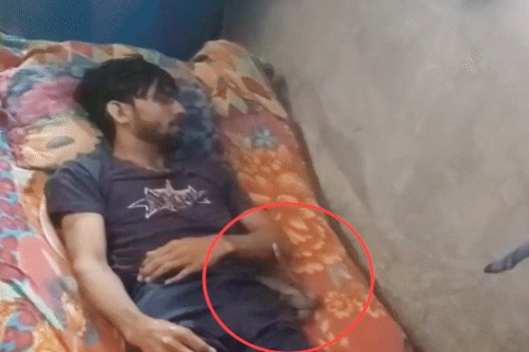 10 बार सांप के काटने के बाद मौत का किया गया था दावा, अब पोस्टमार्टम रिपोर्ट में हुआ भयंकर खुलासा