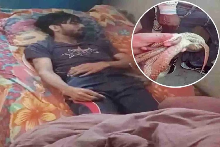 सांप के काटने से नहीं पत्नी ने प्रेमी के साथ मिलकर ली थी पति की जान, पुलिस ने दोनों को किया गिरफ्तार