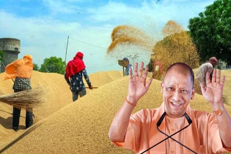 योगी सरकार के आदेश से खिले किसानों के चेहरे, 3.56 लाख किसानों को सीएम का तोहफा