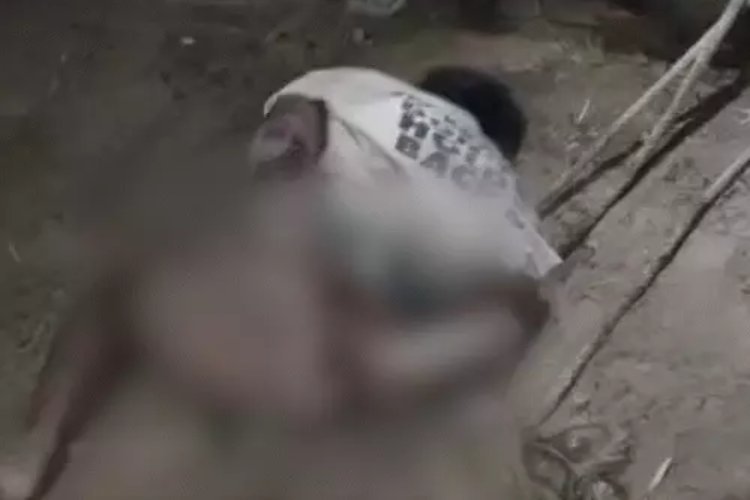 महिला के साथ आपत्तिजनक स्थिति में धराया युवक, लोगों ने नंगा कर पीटा, फिर पूरे गांव में घुमाया