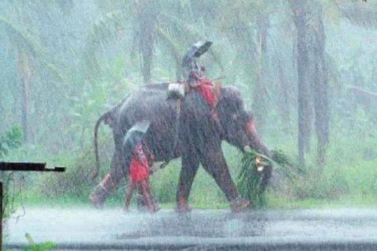 Monsoon 2025: केरल में झमाझम बरसे बदरा... मानसून ने भारत में दी दस्तक, दिल्ली-नोएडा समेत कई शहरों में ऑरेंज अलर्ट