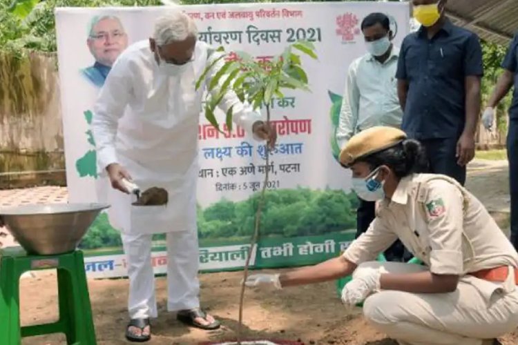 बिजली, पानी, शिक्षा के साथ-साथ पर्यावरण पर भी नीतीश सरकार की नजर, इस वर्ष में लगेंगे 5 करोड़ पौधे