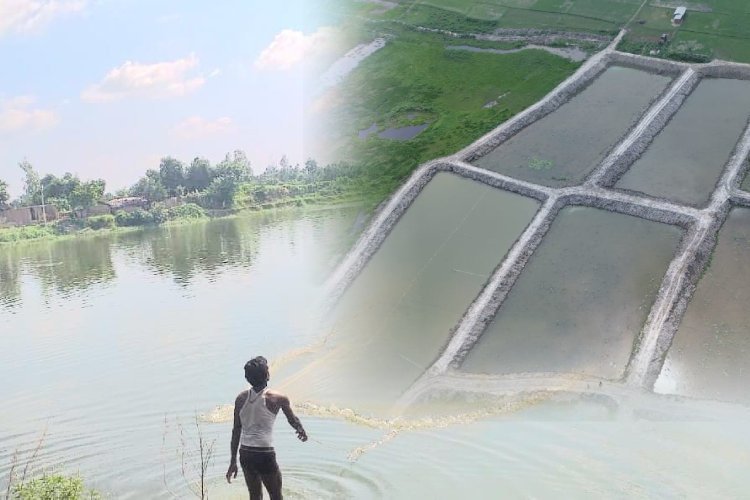मछली उत्पादन में आत्मनिर्भर हुआ बिहार, बीते 20 वर्षों में तीन गुना बढ़ोतरी, कृषि रोड मैप ने बदली सूरत
