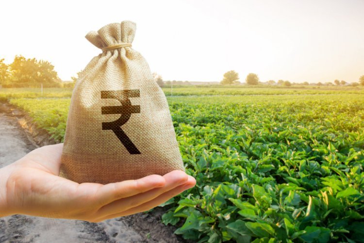 हरियाणा सरकार की इस योजना से किसान होंगे मालामाल... PM-RKVY के तहत तैयार की गई योजना