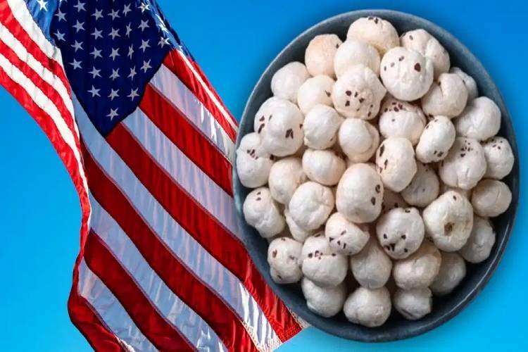 अमेरिका भी खा रहा बिहार का मखाना, उत्पादन हुआ 10 वर्ष में दोगुणा